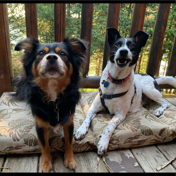 Meet Your Posher Jen! - Picture 1 of 4